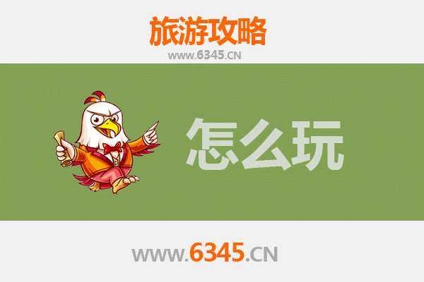 台中假日游：文艺风情与美食探秘的完美旅程